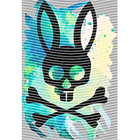 Brand Catalog-ZX 547